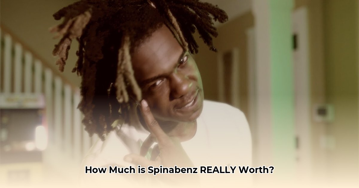 spinabenz net worth